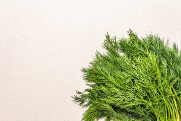 Fresh organic herb dill