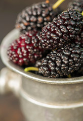 Delicious fresh blackberry close-up, healthy eating, antioxidant concept