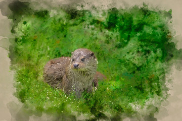 Digital watercolour painting of Otters on riverbank in lush green grass of Summer in sunlight