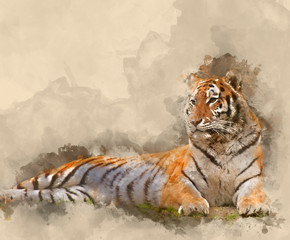 Digital watercolour painting of Beautiful image of tiger relaxing on grassy hill