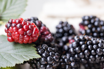 ブラックベリーの実と葉アップ