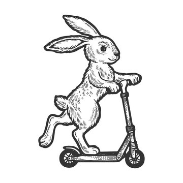 Bunny riding on scooter sketch engraving vector illustration. Scratch board style imitation. Black and white hand drawn image.