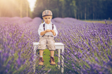 Happy child in the lavender field