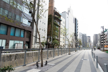 Fototapeta premium shibuya city