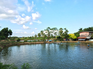 View park for relax and nature fresh background