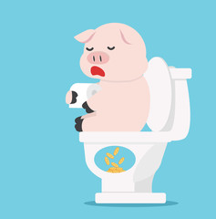 pig sitting on White toilet concept