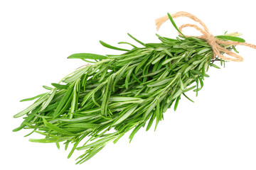 fresh rosemary leaves isolated on white background.