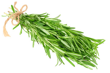 fresh rosemary leaves isolated on white background.