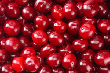 Red juicy cherries background. cherry texture. Top view.