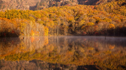 長野県 戸隠高原 鏡池 紅葉