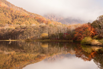 Fototapeta premium 長野県 戸隠高原 鏡池 紅葉