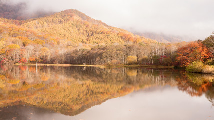 長野県 戸隠高原 鏡池 紅葉