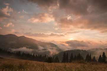 Foggy morning landscape