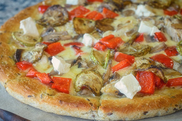 vegetarian pizza with cheese and vegetables