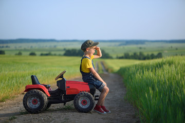 Little boy farmer on a tractor among green grain fields
