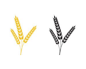 Agriculture wheat Logo Template vector icon