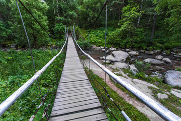 bridge in the forest