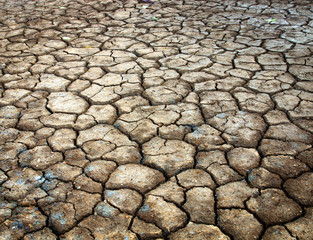 Dry soil surface with cracks under high solar activity and lack of moisture