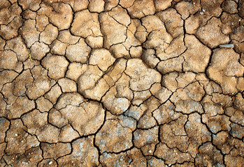 Dry soil surface with cracks under high solar activity and lack of moisture