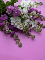 Beautiful romantic bouquet of delicate flowers. Copy space.