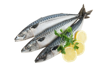 Mackerel fish (Scomber scrombrus) with lemon and parsley isolated on white background
