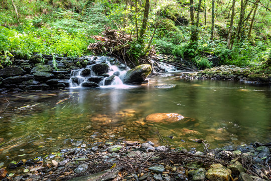 peque&ntilde;a cascada en el bosque rodeada de arboles verdes y rocas mojadas, con agua cayendo con efecto seda