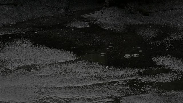 Rain drops are falling down on water puddle on asphalt and making moody and sad mood. Raining. Rainfall.