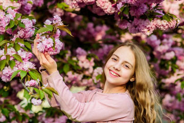 Fototapeta premium summer. Childhood beauty. skincare spa. Natural cosmetics for skin. blossom smell, allergy. small girl child in spring flower bloom. happy girl in cherry flower. Sakura tree blooming. Forever young