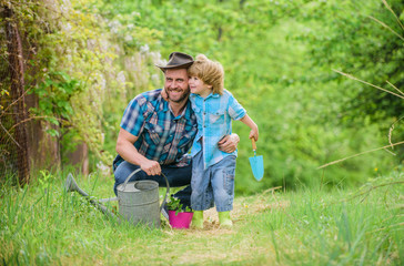 Naklejka na ściany i meble Dad teaching little son care plants. Little helper in garden. Planting flowers. Growing plants. Fresh seedlings. Take care of plants. Boy and father in nature with watering can. Spring garden