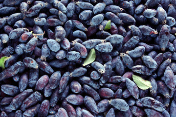 Blue berries. Texture, background. Close up. Fresh honeysuckle.