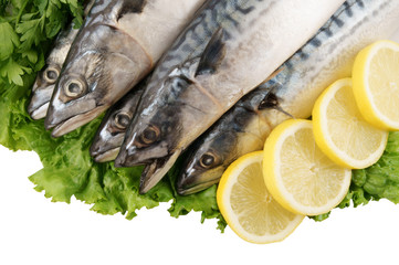 Mackerel fish with greens and lemon isolated on white