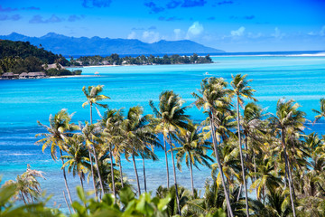 Blue lagoon of the Bora Bora island, Polynesia. Top view on palm trees and the sea..