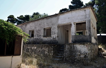 ruins of a taverna in the forest