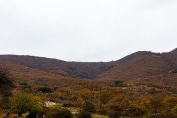 Hill and trees in autumn