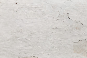 plastered whitewashed wall,taken on a summer day