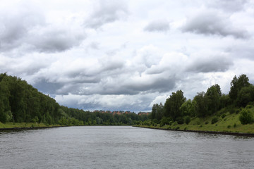 Bright green deciduous forest on the banks of the summer river