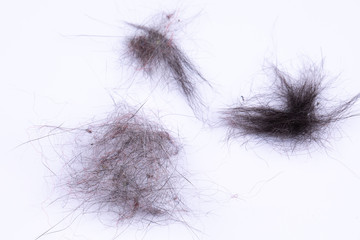 Clumps of hair and dust particles are seen closeup. Isolated against a white background. Vacuuming...
