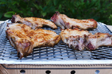 Grill outdoor.Summertime picnic with delicious juicy pieces of meat on grill