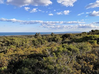 Panorama littoral méditerranéen près de gruissan, france