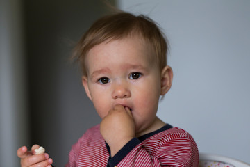 Closeup of cute fair sleepy eyed toddler girl holding and putting a cookie in her mouth while sitting in her high chair in pyjamas