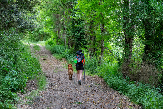 A day of treeking with dog in Collsacabra.