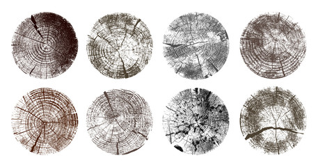 Set of tree rings. Wood texture of wavy ring pattern from a slice of tree. Grayscale wooden stump. Vector illustration. Isolated on white background. © Anatoliy