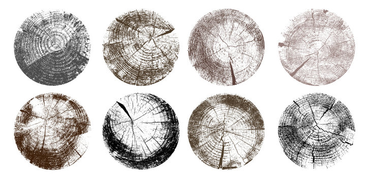Set of tree rings. Black and gray wood texture of wavy ring pattern from a slice of tree. Grayscale wooden stump. Vector illustration. Isolated on white background.