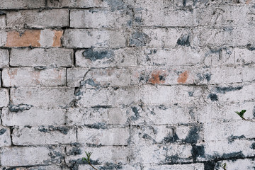 old red brick wall painted white