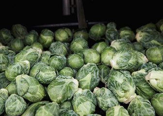 Fototapeta na wymiar Heap of Brussels Sprouts