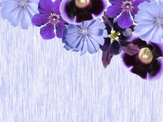 Beautiful floral background of aquilegia, chicory, clematis and gloxinia. Isolated