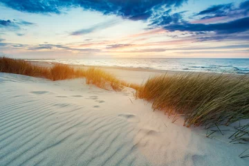 Grassy dunes and the Baltic sea at sunset