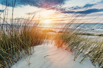 Grassy dunes and the Baltic sea at sunset - obrazy, fototapety, plakaty