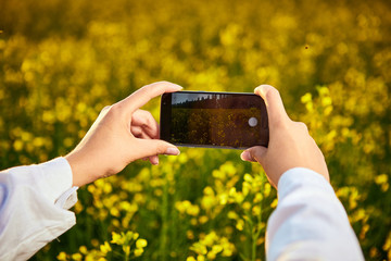 Agronomist woman or farmer inspect quality of canola field and taking photo with mobile phone