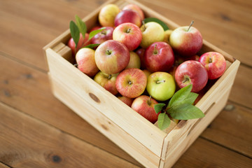 fruits, food and harvest concept - ripe apples in wooden box on table
